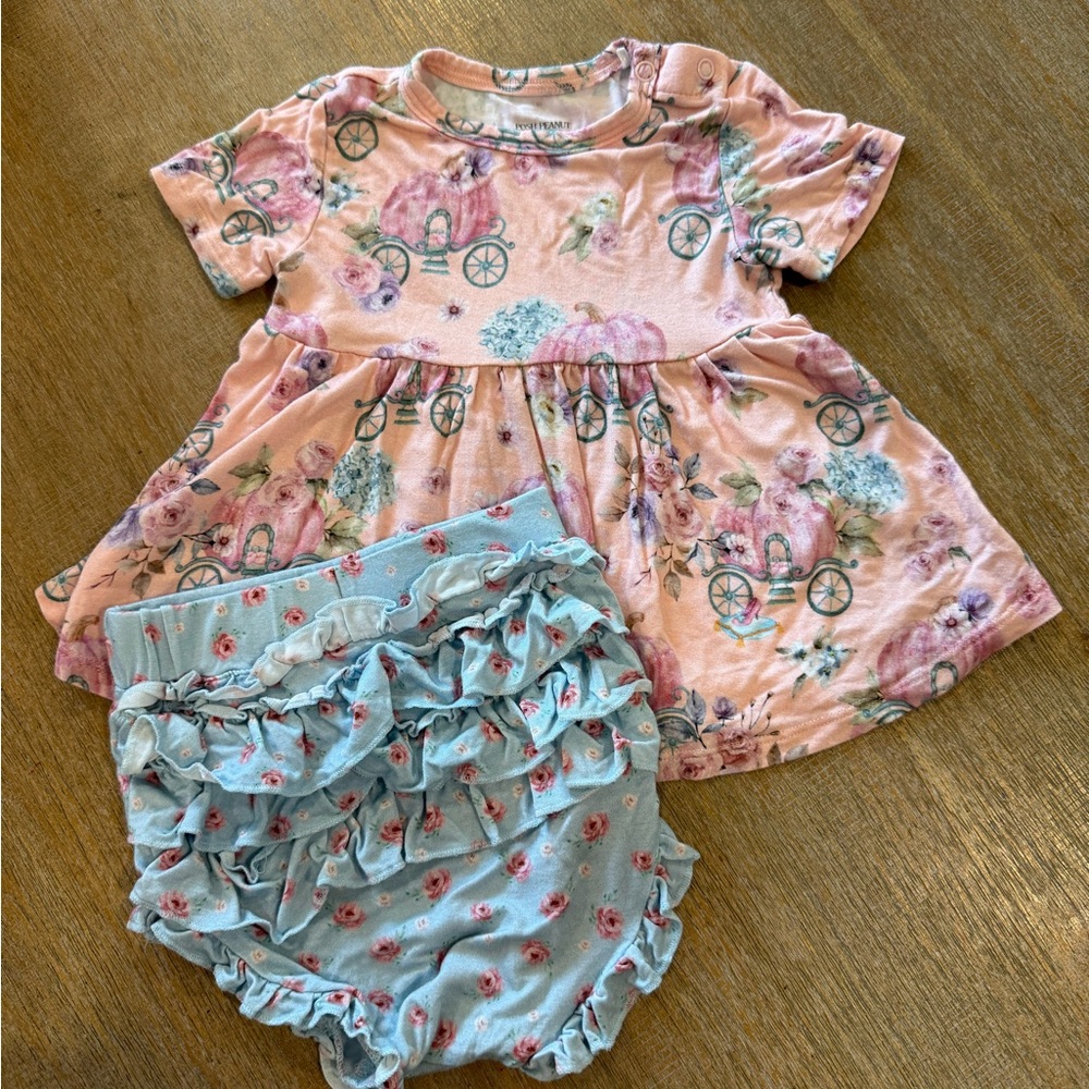 Posh Peanut Floral Diaper Cover Set - Pink and Blue
